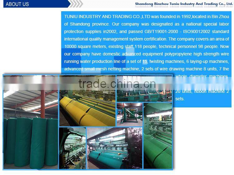 high quality blue safety net fall protection