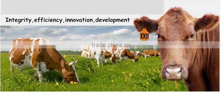 New design laser printing ear tag for wholesales