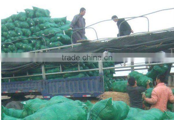 15g-50g plastic mash bag