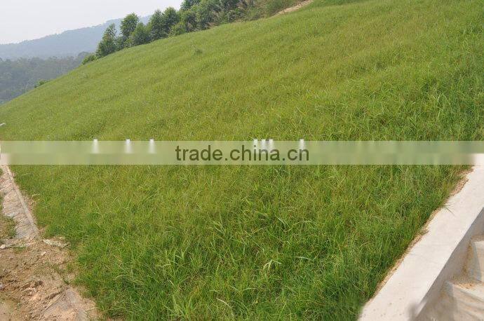 chinese slope hydroseeding and grass seeds planting machine price