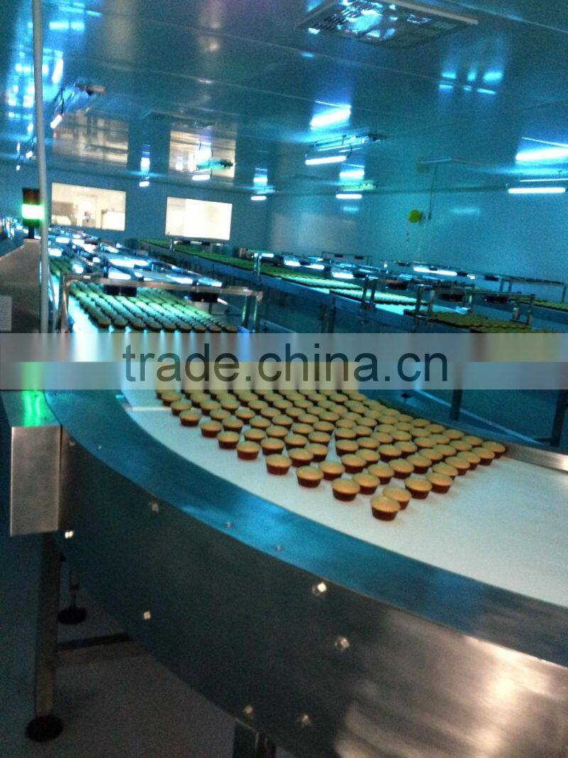cookies cooling conveyor system