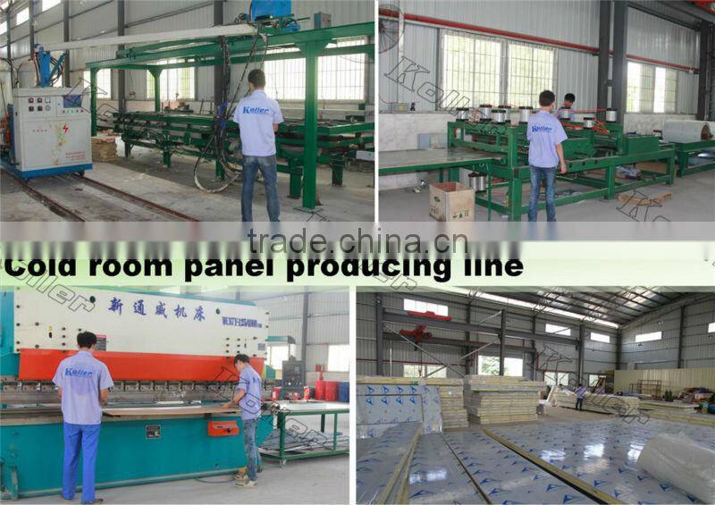 walk in Koller freezer cold room for fishery