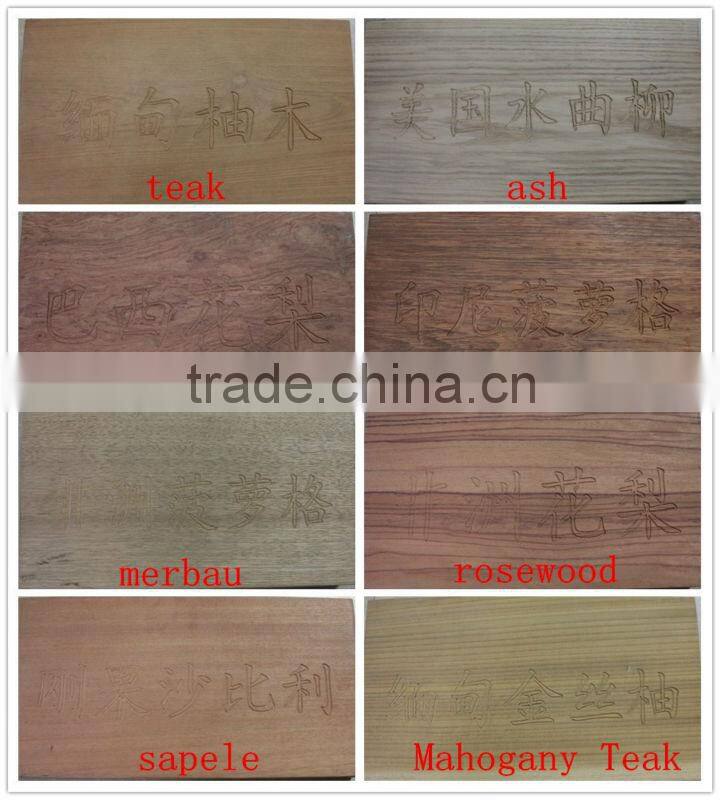 arch top double entry french door with good price