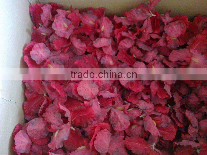 artificial iris stem