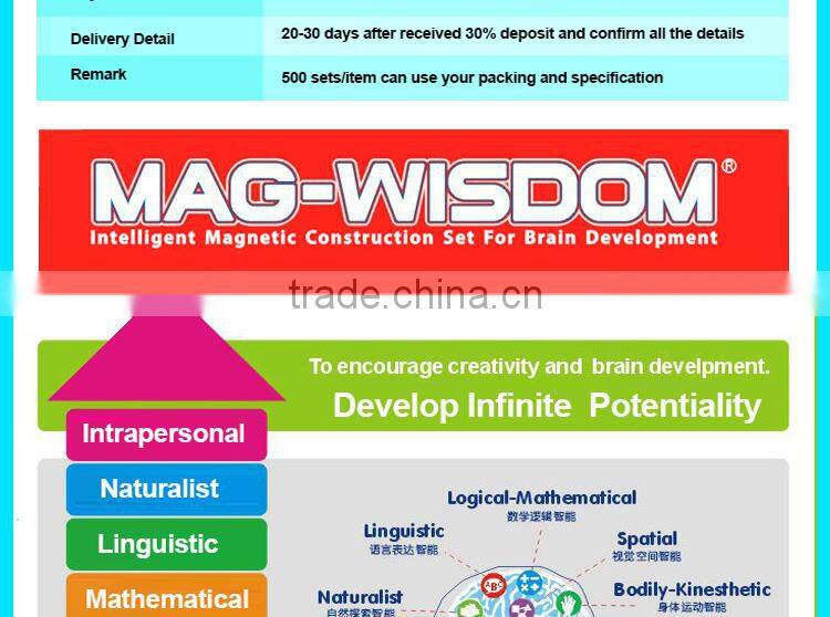 MAG-WISDOM Intelligent building blocks for kids