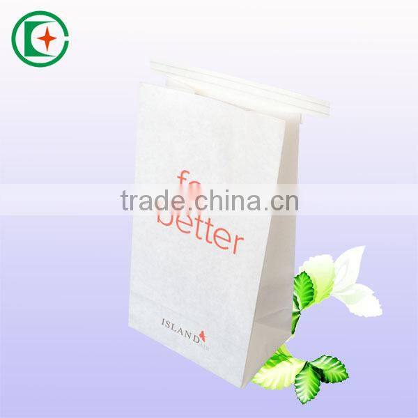 The airline sickness bag