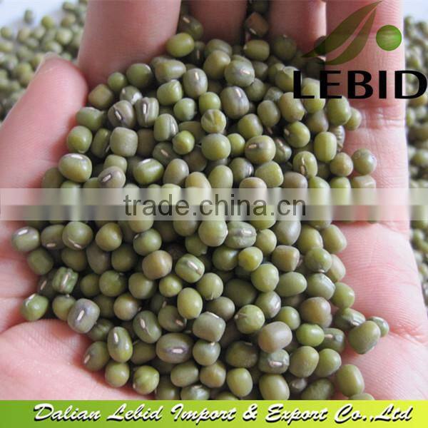 2016 Crop Green Mung Bean for Sprouting