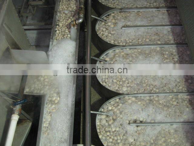 Canned Whole Button Mushroom