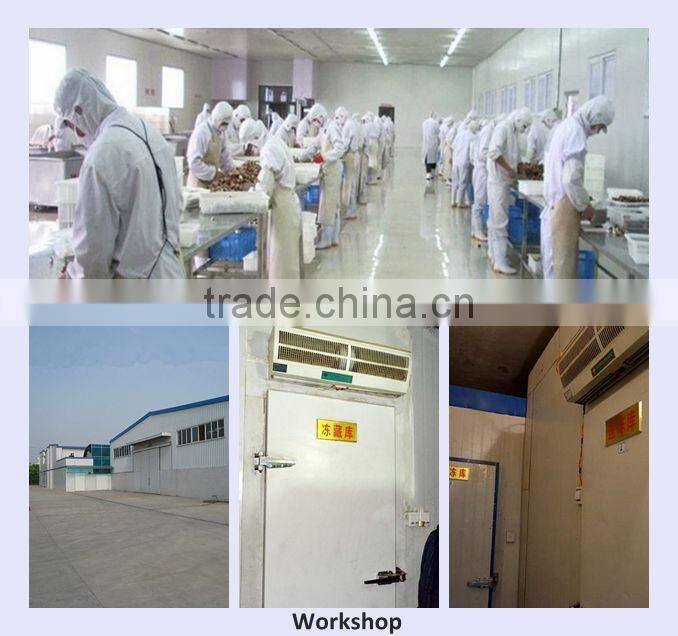 Dried oyster mushroom/pleurotus ostreatus with competitive price