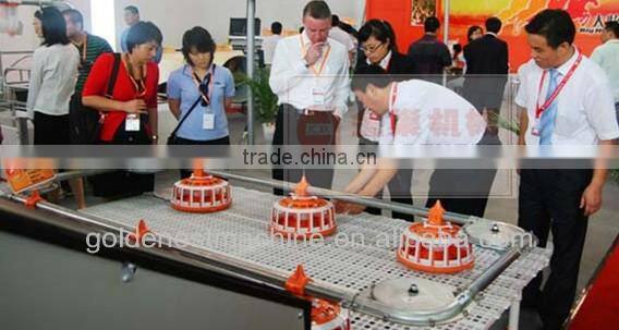 Goldenest automatic poultry equipment chains feeding system