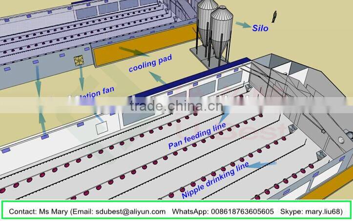 high quality low price industrial steel structure chicken coop