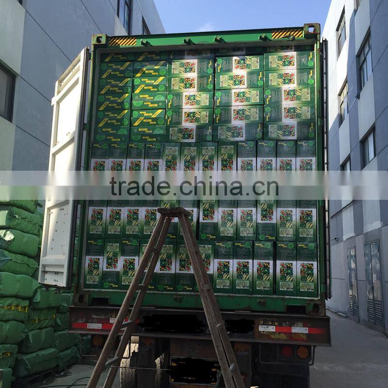 16L New design PP knapsack hand agriculture sprayer