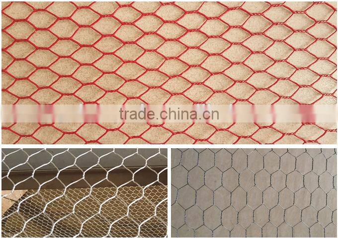 electro galvanized hexagonal wire mesh/hot dip galvanized hexagonal wire mesh