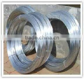 2013 Autumn Canton Fair 16.3H05 ISO900:2001 High Tensile BWG8-36 Galvanized Bag Closing Wire