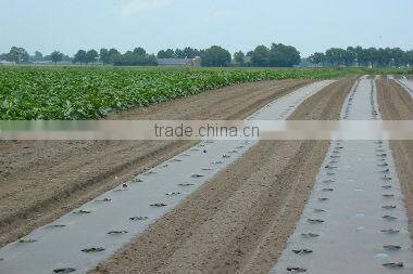 Biodegradable colorful agricultural mulch film for crop food grade