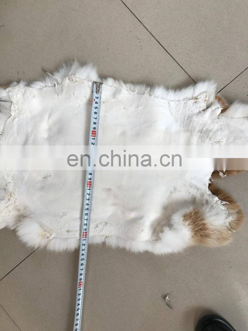 Natural Rabbit Skin and Rabbit Skins Price with Factory Price