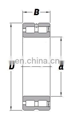 Double Row Full Complement Cylindrical Roller Bearing SL18 5013 SL185013