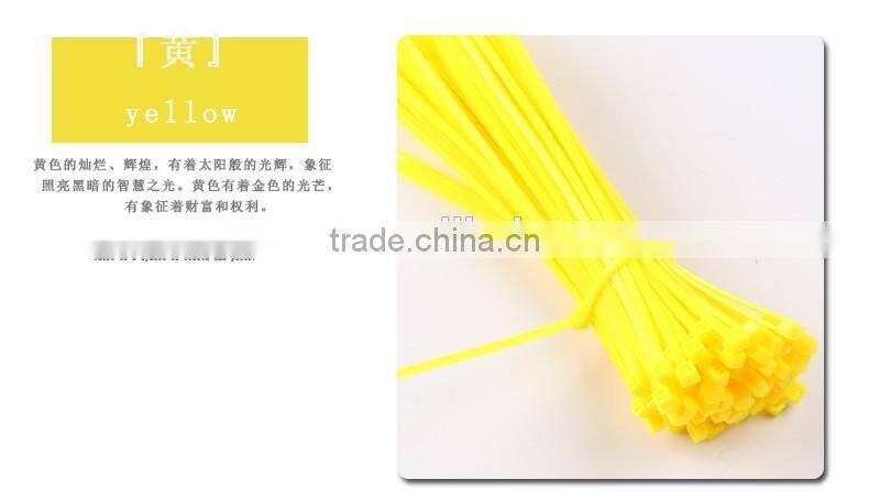 4'' 6'' 8'' 10'' Length Nylon66 Plastic Cable Tie Size