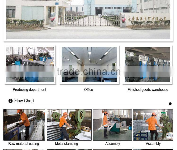 Little Giant agility ladder