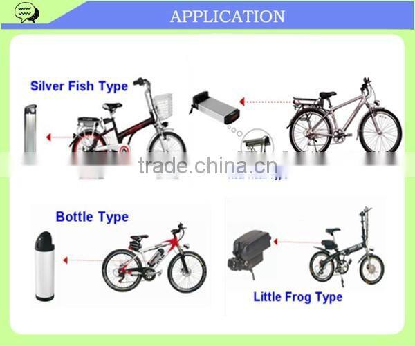 Rechargeable electric bike 10ah 48v lithium ion battery with BMS charger and Alu case