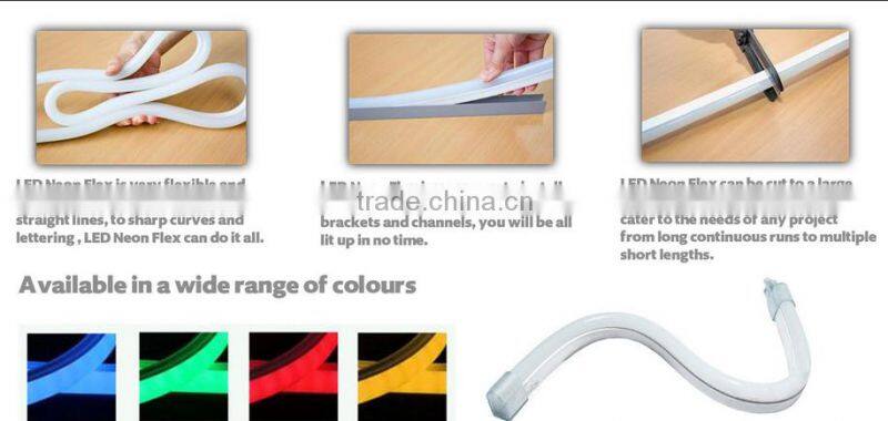 Holiday/Christmas Decoration neon sign/neon tube light/neon lighting for building