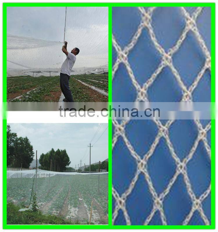 High quality agriculture used green knitted anti hail net with low price