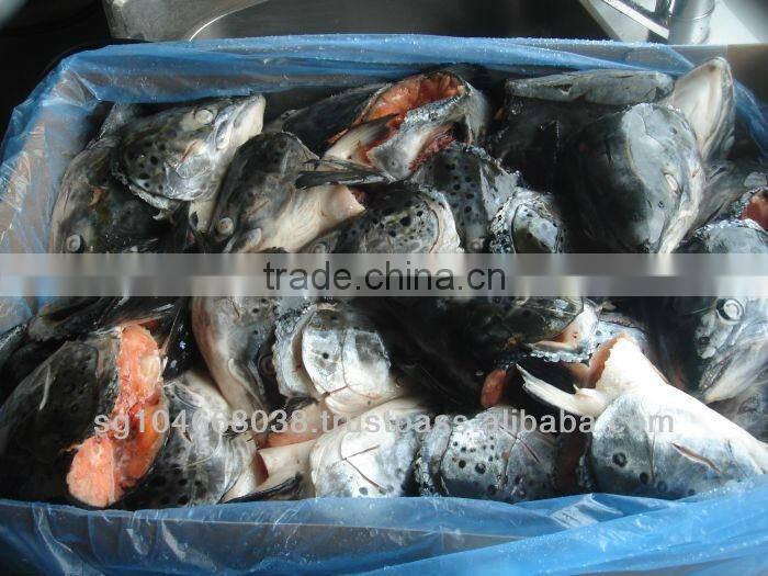 ATLANTIC SALMON HEADS
