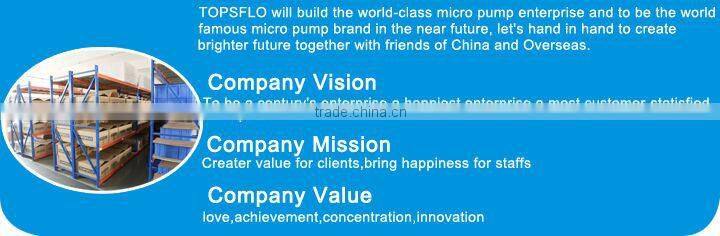 DC Brushless Diaphragm 6v 12v 24v pump for corridor assembly room Aroma Diffusion System