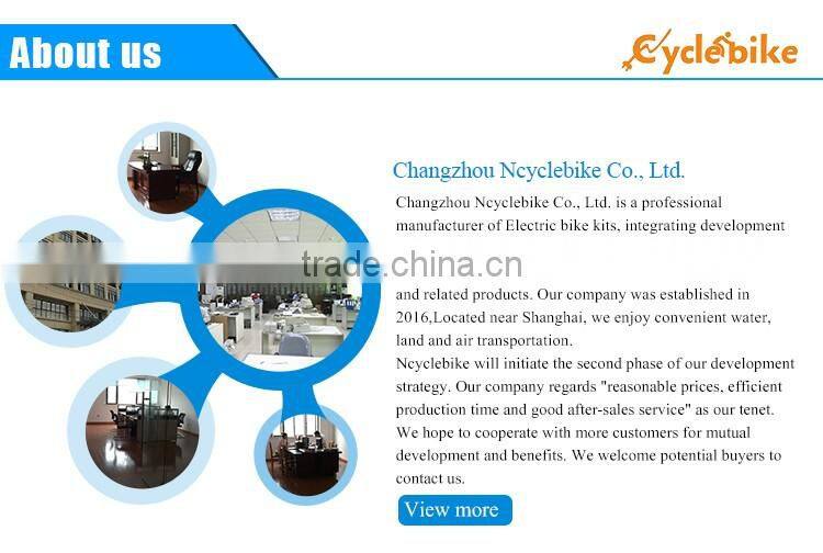 CE appoved 48v 1000w motor bldc