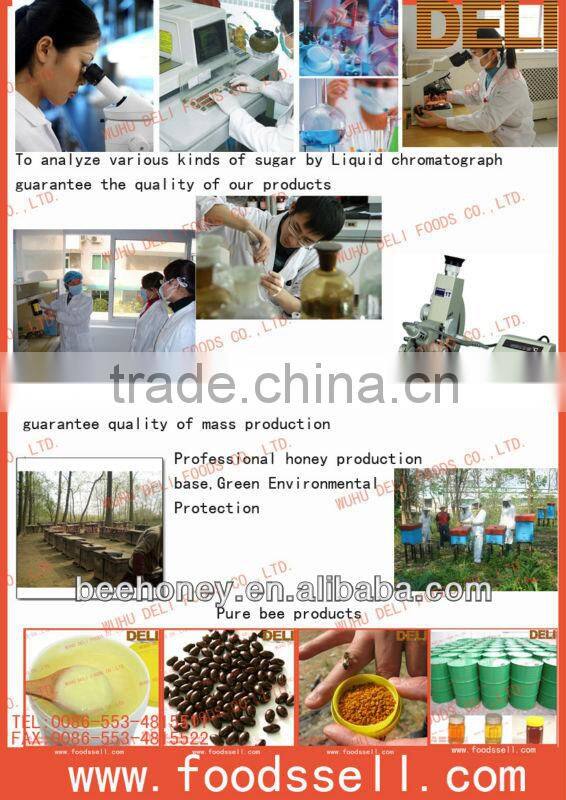 Honey Syrup/honey mix/blend syrup with comb packed in 80/453g glass bottle for Yemen/Middle East Market