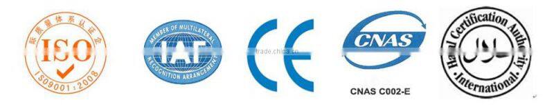 Beef Processing Facility Cow Slaughter