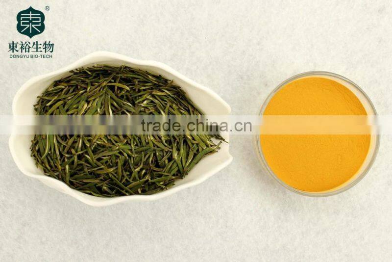 Natural Healthy Supplement 98% Polyphenols Green Tea Extract for instant drinking tea