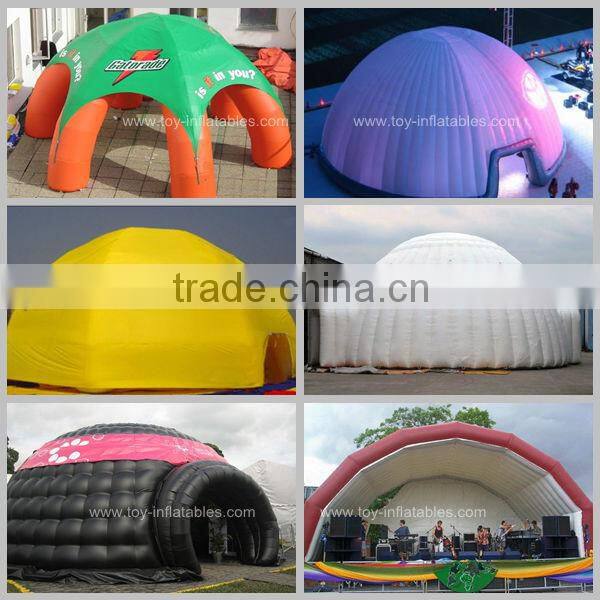 Beautiful customized clear inflatable tent