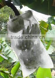Pp Spunbond Non-woven Fabric For Banana Cover 30gsm