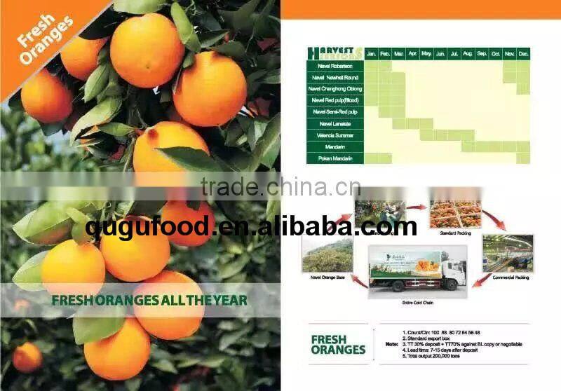 Canned tomato paste in sauce price