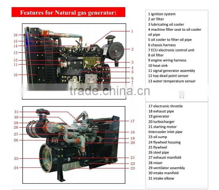 Lovol 50kw electric natural gas generator with