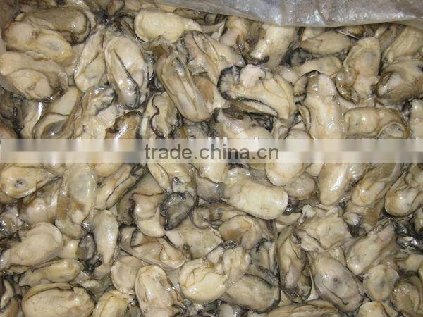 wholesale frzoen oyster meat