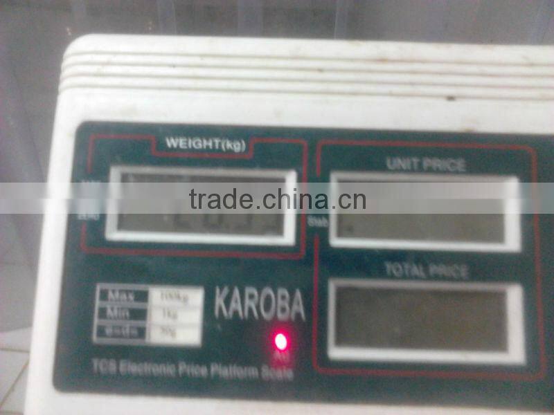 CHILEAN GIANT SQUID FILLETS