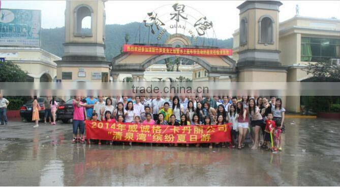 Europe best seller Strong hydro mini spa pool with balboa system