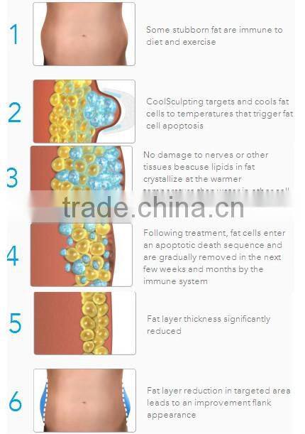 4 finctions in one mode 5 handles double chin fat reduction machine for sale