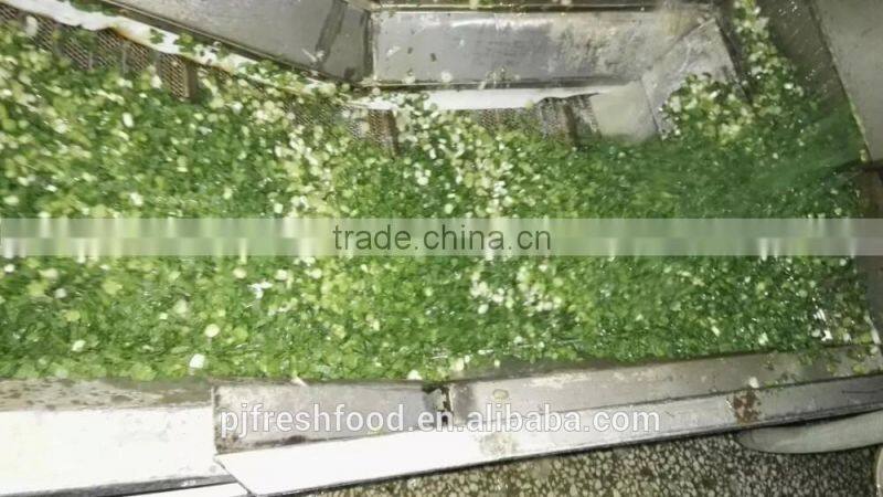 IQF Scallions Export to UK