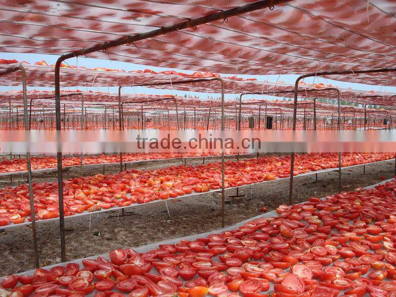 sun dried tomatoes with salt