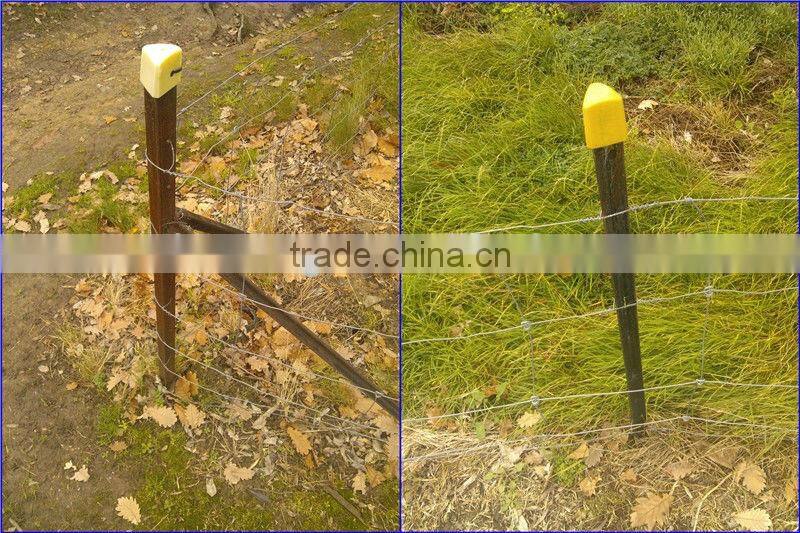 Australia star picket Y post , hot dipped star y post