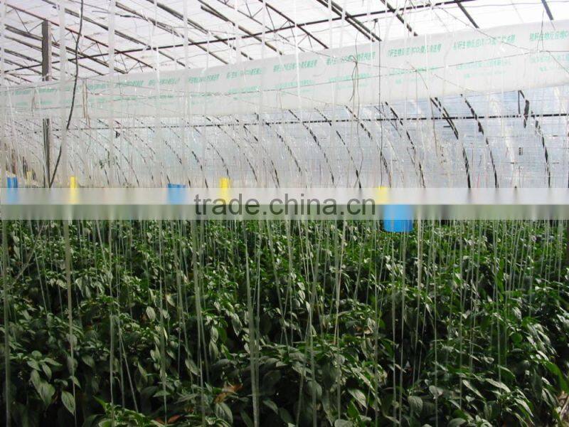 insect trap for Agriculture