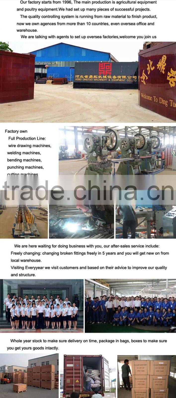 Egg belt imported from Italy automatic egg collection