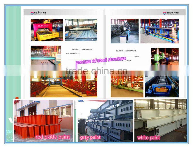 Professional Design Turnkey Project Pre Engineering Steel Structure Building