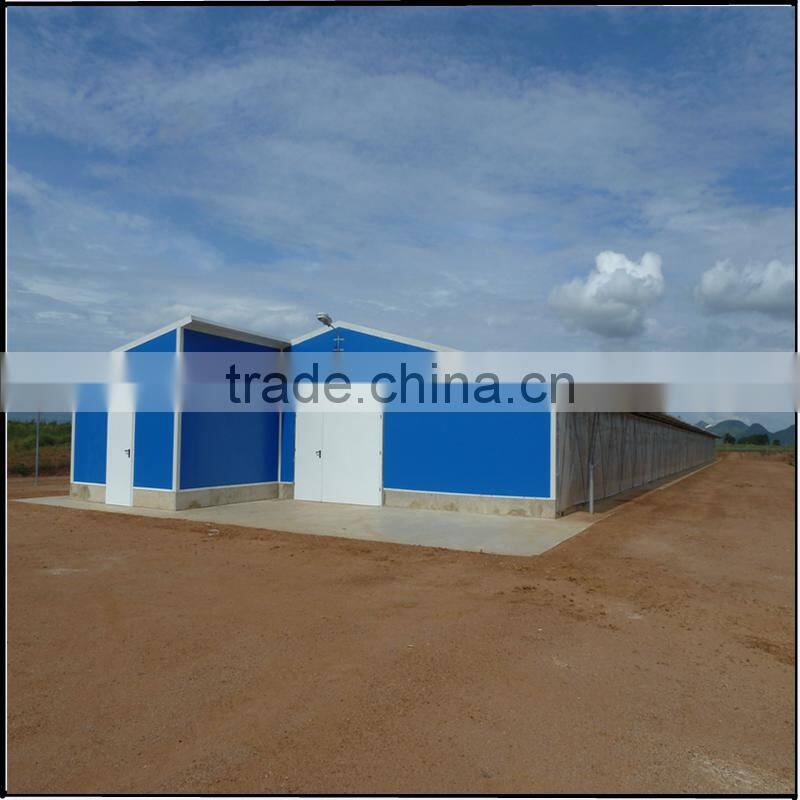 Industrial shed steel structure building design poultry farm shed chicken house for layers