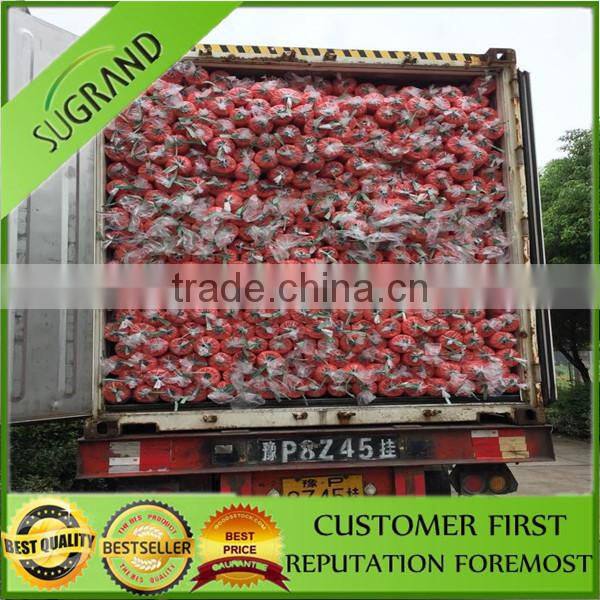 building safety net,scalfolding debris nets