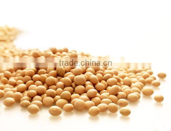 Stainless Steel oil extraction equipment/supercritical extraction equipment