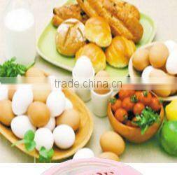 Promotion gift breakfast 7 eggs egg boiler